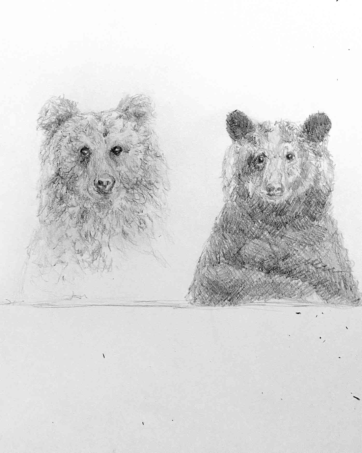 vanelibatique-doodle-sketchy-bears